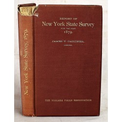 Special Report of New York State on the Preservation of the Scenery of Niagara Falls: And the Fourth Annual Report on the Triangulation of the State; for the Year 1879